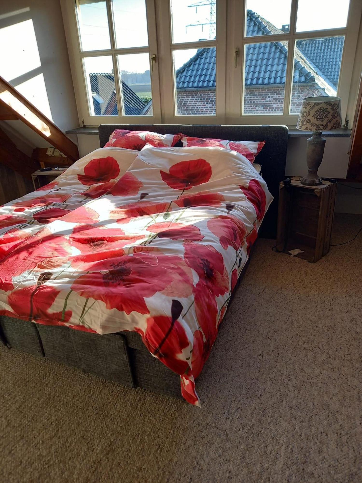 Mooie Familie Groepsaccomodatie Aan De Bosrand Holiday home Overloon