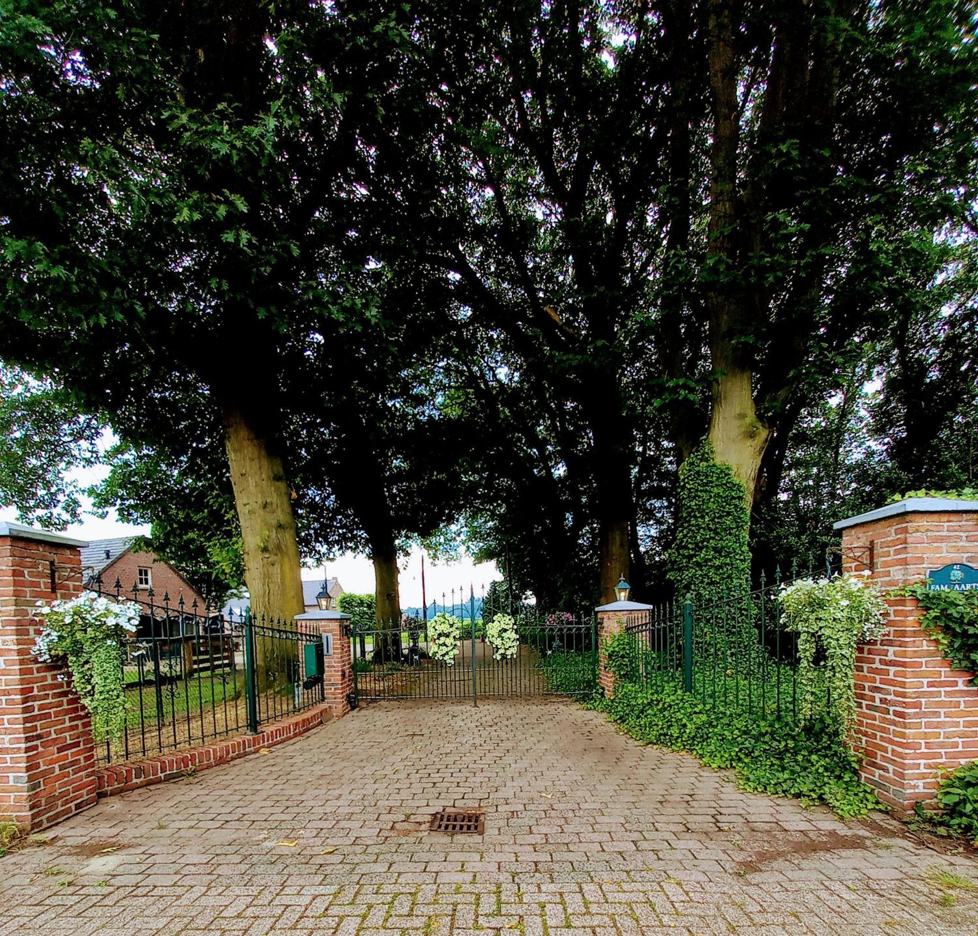 Holiday home Mooie Familie Groepsaccomodatie Aan De Bosrand Overloon