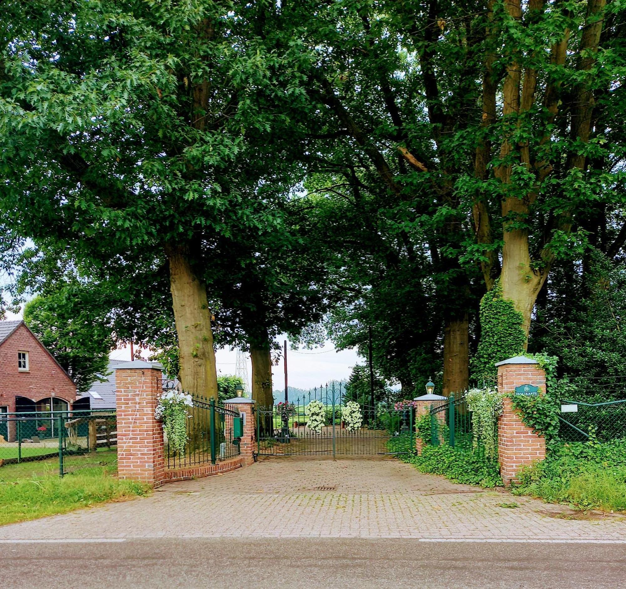 Mooie Familie Groepsaccomodatie Aan De Bosrand *